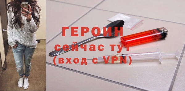 хмурый Ельня
